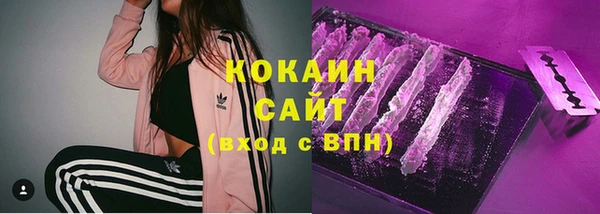 спайс Арсеньев